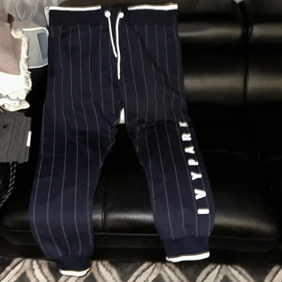 Ivy Park Sweatpants 🔥🔥🔥 - Picture 1 of 6